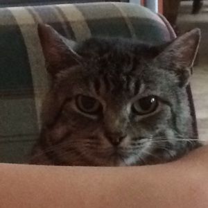 Meet your Posher, Tabitha