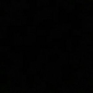 Meet your Posher, Sidney