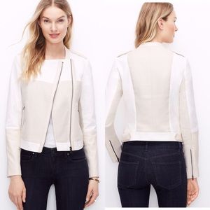 Ann Taylor Textured Moto Jacket