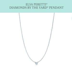 Elsa Peretti Tiffanys Necklace