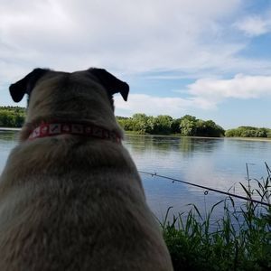 Meet your Posher, Denise