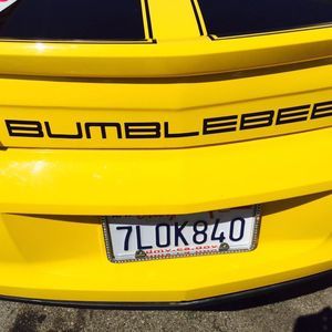 Meet your Posher, Pedro