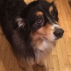 Meet your Posher, Colleen