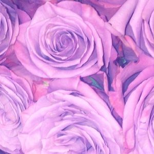 Meet your Posher, Lena