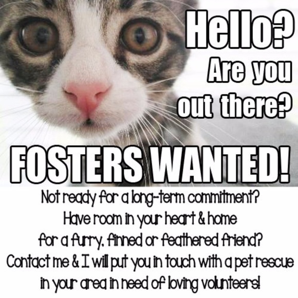 GAP Premium Skinny Semi-Distressed Jeans 12 31L - Picture 3 of 4