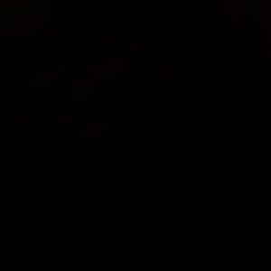 Meet your Posher, Jaden