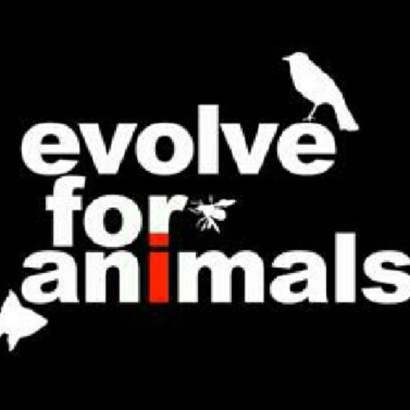 Why Am I a Vegan? - Picture 2 of 8