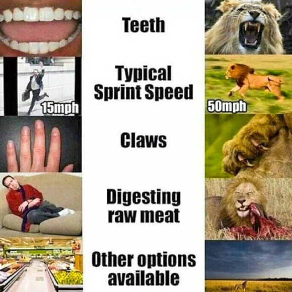 Why Am I a Vegan? - Picture 3 of 8