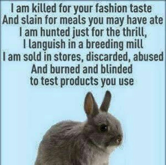 Why Am I a Vegan? - Picture 7 of 8