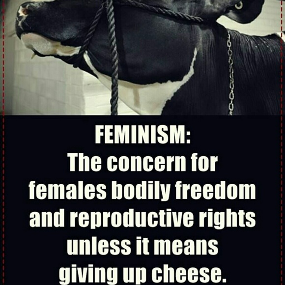 Why Am I a Vegan? - Picture 8 of 8