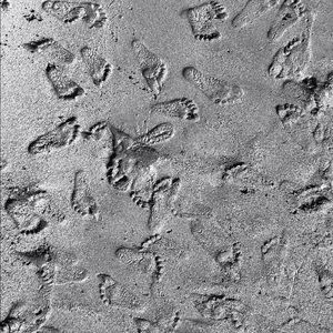 Meet your Posher, Kelsey