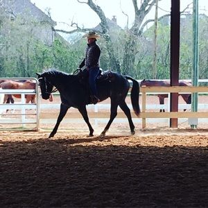 Meet your Posher, Kristy