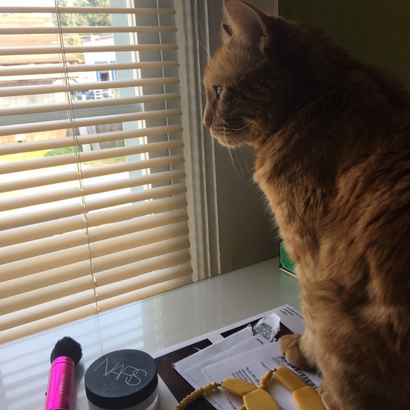 Meet your Posher, Tiger