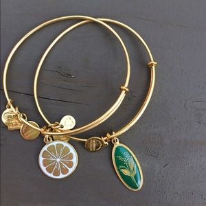 Alex and Ani charm bracelets