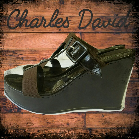 Charles David Wedge Sandals 9.5 B