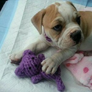 Meet your Posher, Chloe