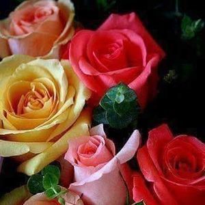 Meet your Posher, Cresencia