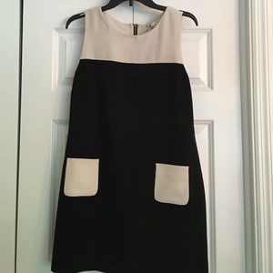 Last Chance to Buy-Mod Shift Dress