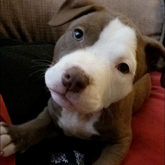 Meet your Posher, Rebecca - Picture 2 of 3