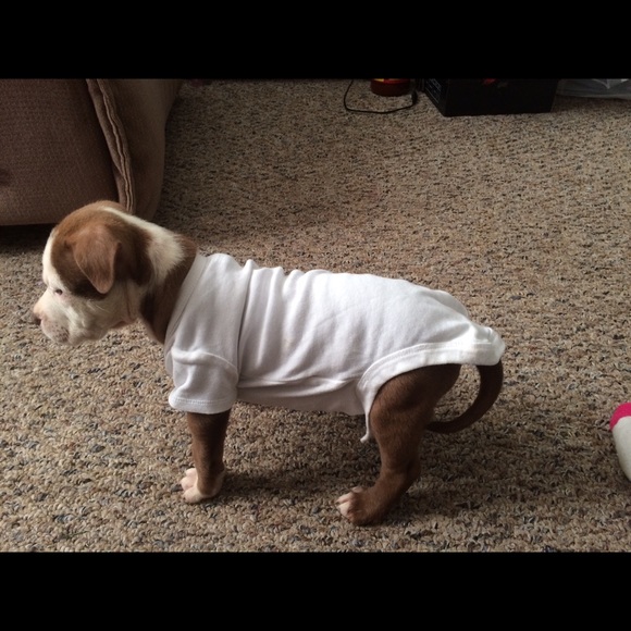 Meet your Posher, Rebecca - Picture 3 of 3