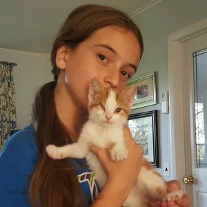 Meet your Posher, Alexa