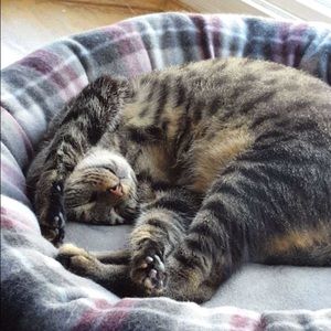 Meet your Posher, Julie