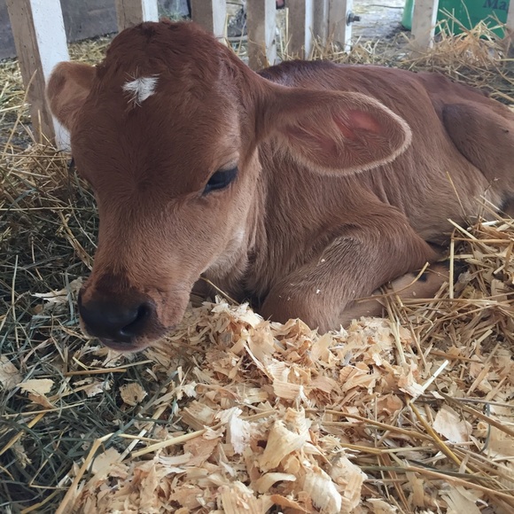 Meet your Posher, Marilyn