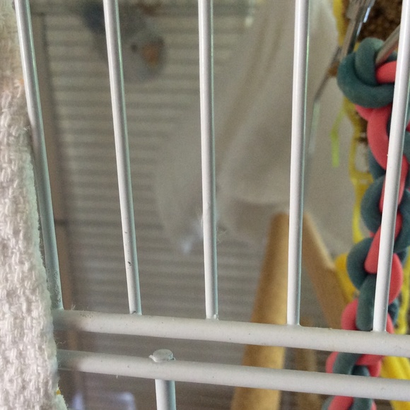 Meet your Posher, Pearl