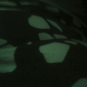 Meet your Posher, Cristina