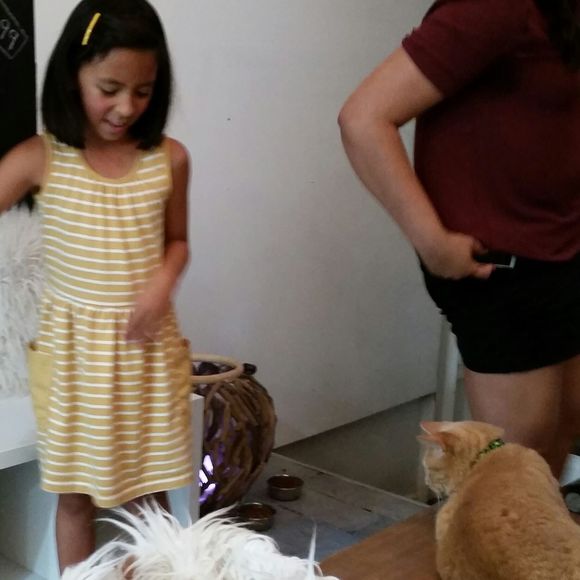 Meet your Posher, Grace