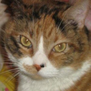 Meet your Posher, Misti