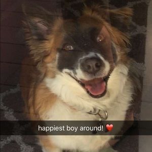 Meet your Posher, Stephen