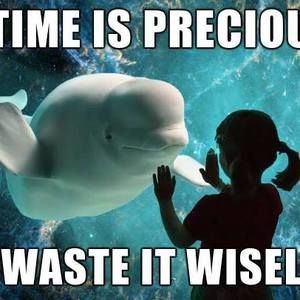 Meet your Posher, Bryan