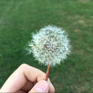 Meet your Posher, Xiaoyi