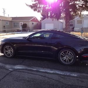 Meet your Posher, Lori