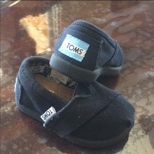 Baby toms!
