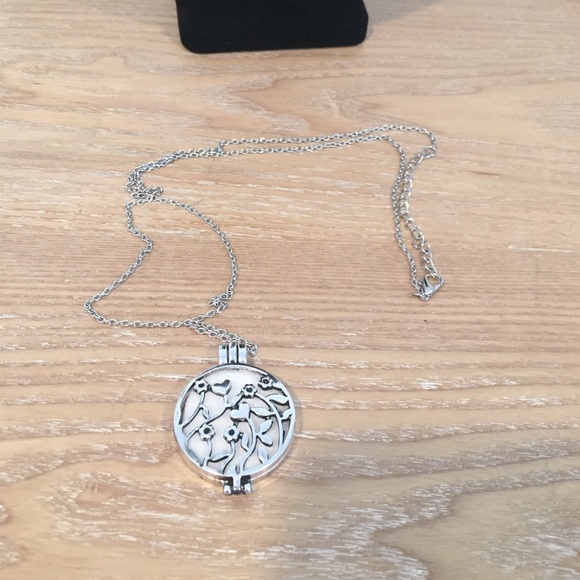 Silver Diffuser Necklace - image 1