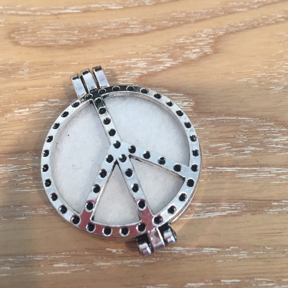 Silver Diffuser Necklace - image 4