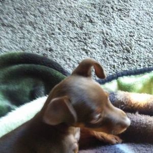 Meet your Posher, Robyn