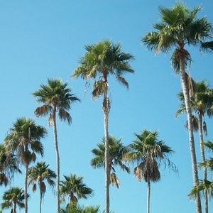 Going out of town TOMORROW 8/24