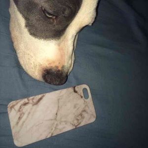 iPhone 5/5s case