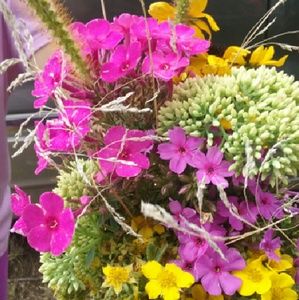 Meet your Posher, Rebekah