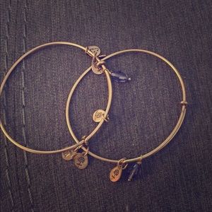 1 Rare Alex and Ani Purple Retired Love Drops NWOT