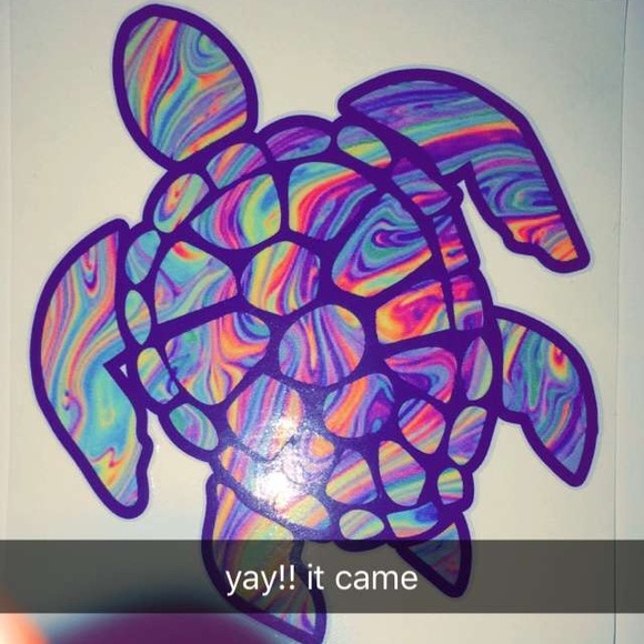 Meet your Posher, Gloria - Picture 1 of 1