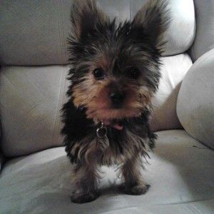 Meet your Posher, Sara