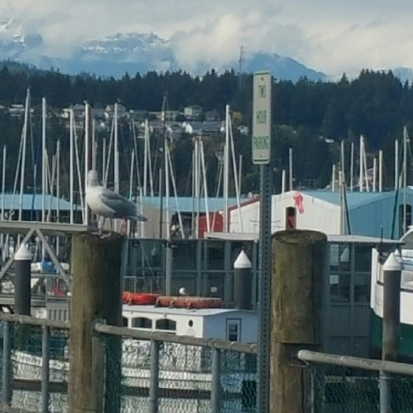 Meet your Posher, Bev - Picture 4 of 11