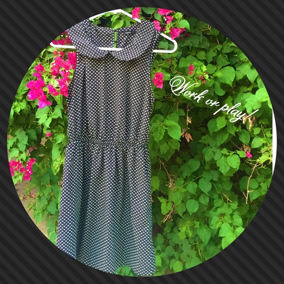 Poetry Dresses & Skirts - 💜CLEARANCE💜Black /white dress dress