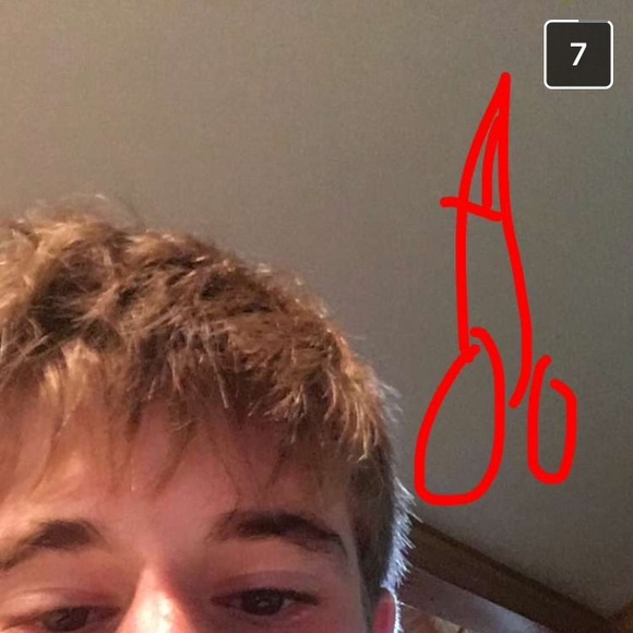 Meet your Posher, Avery - Picture 1 of 1