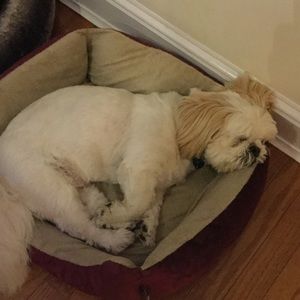 Meet your Posher, Mary