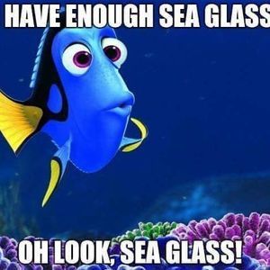 Meet your Posher, Heidi